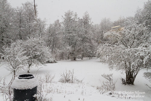 Vinter